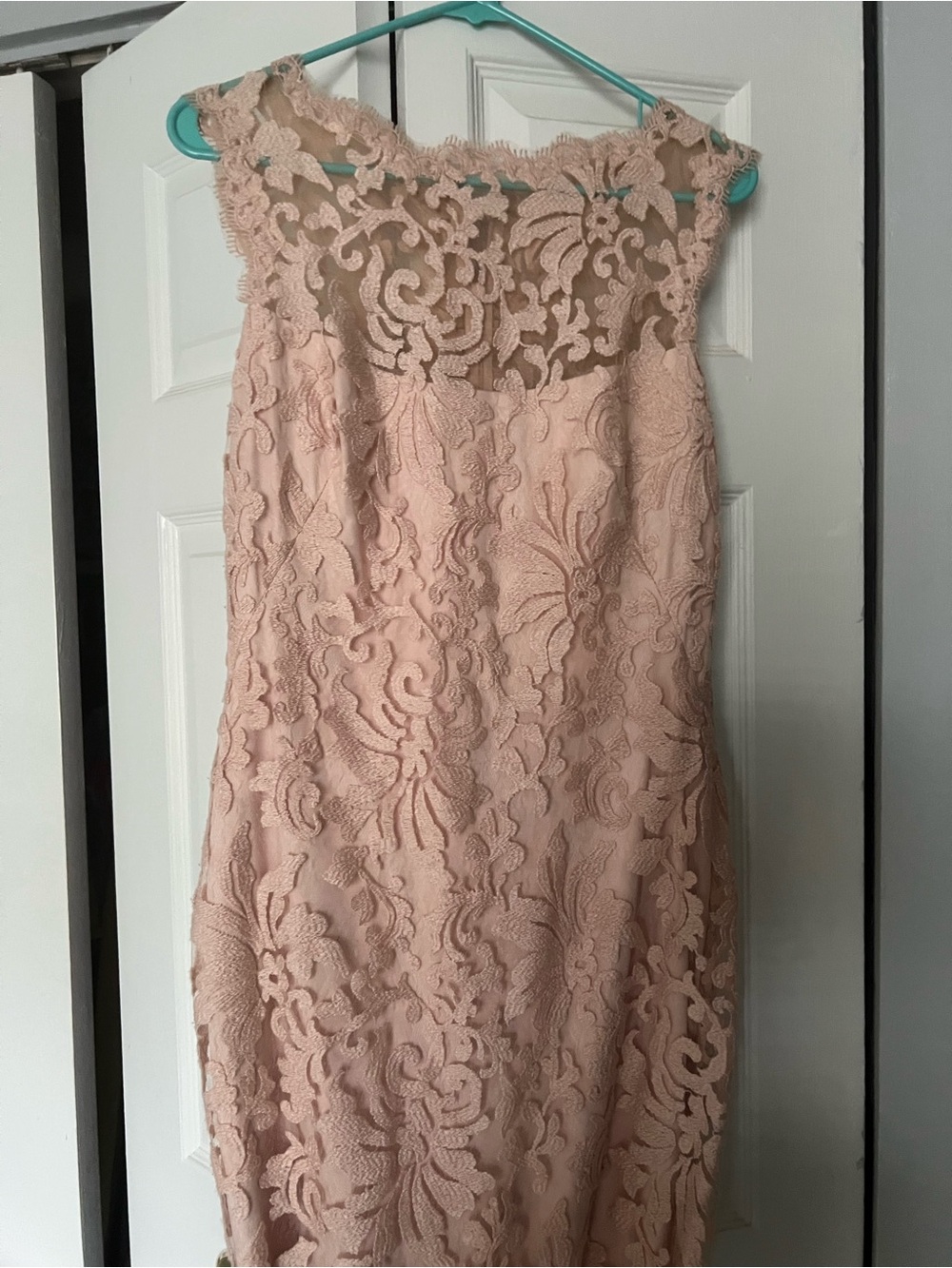 Tadashi Shoji Blush Pink Lace Sheath Dress